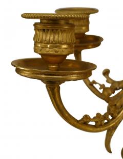 French Louis XVI Bronze Dore Candelabra With Eagle Head - 4200556