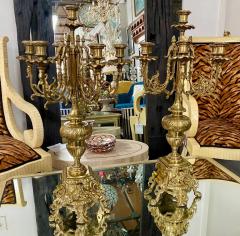 French Louis XVI Style Ormolu Bronze 7 Arms Candelabra a Pair - 3197251