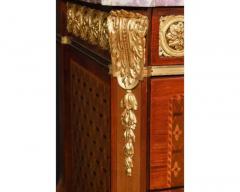 French Louis XVI Style Ormolu Mounted Marquetry and Parquetry Commode - 4120376