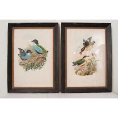 French Pair of Reproduction Framed Lithographs - 3420573