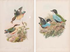 French Pair of Reproduction Framed Lithographs - 3437364