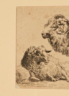 French Pen and Ink Drawing of Ram and Ewe circa 1800 - 3702495
