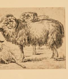 French Pen and Ink Drawing of Ram and Ewe circa 1800 - 3702497