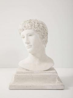 French Plaster Bust of a Classical Youth - 4207331