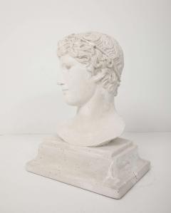 French Plaster Bust of a Classical Youth - 4207332