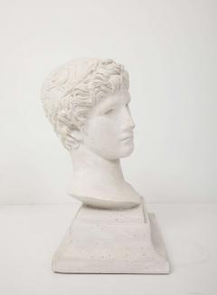 French Plaster Bust of a Classical Youth - 4207337