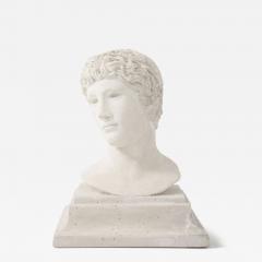 French Plaster Bust of a Classical Youth - 4208531