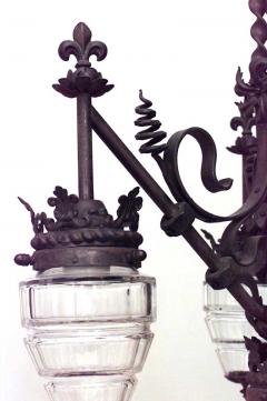French Provincial Style Wrought Iron and Glass Floral Chandelier - 4169971