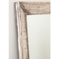 French Reproduction Silvered Mirror - 3413692