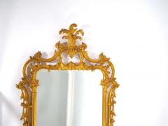 French Rococo Style Gilt Wood Frame Hanging Wall Mirror - 2824352