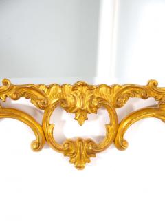 French Rococo Style Gilt Wood Frame Hanging Wall Mirror - 2824354