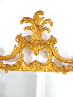 French Rococo Style Gilt Wood Frame Hanging Wall Mirror - 2824355