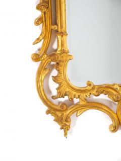 French Rococo Style Gilt Wood Frame Hanging Wall Mirror - 2824358