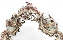 French Victorian Bronze Dore Shaped Wall Mirror - 744185