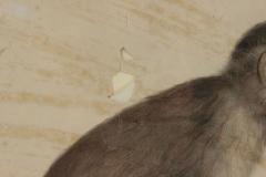 French Victorian Monkey Engraving Print - 4517025