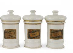 French Victorian Porcelain Apothecary Jars - 4674349
