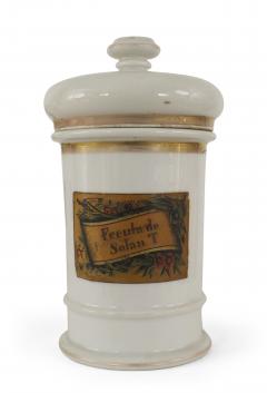 French Victorian Porcelain Apothecary Jars - 4674353