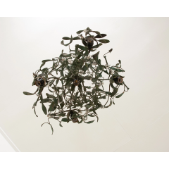 French Vintage Metal Mistletoe Chandelier - 2753014