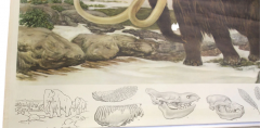 Fritz Zerritsch 1955 Quaternary Ice Age Landscape Woolly Mammoth Wall Hanging - 3767613