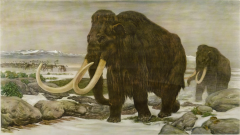 Fritz Zerritsch 1955 Quaternary Ice Age Landscape Woolly Mammoth Wall Hanging - 3767635