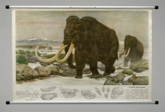 Fritz Zerritsch 1955 Quaternary Ice Age Landscape Woolly Mammoth Wall Hanging - 3767636