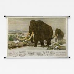 Fritz Zerritsch 1955 Quaternary Ice Age Landscape Woolly Mammoth Wall Hanging - 3771145