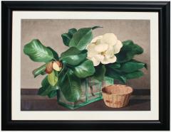 Frode Neilsen Dann Still Life with Magnolias - 3856127