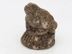 Frog on Rock - 1893411