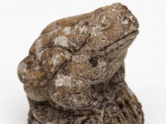 Frog on Rock - 1893413