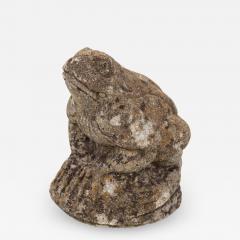 Frog on Rock - 1894632