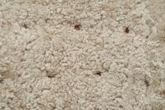 G sta Jonsson G sta Jonsson Lounge Chair from J nk ping Sweden 1940s - 4365553