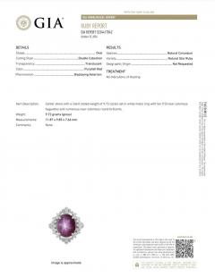 GIA Cert 9 72 Carat No Heat Star Ruby Diamond Platinum Cocktail Ring - 3991532