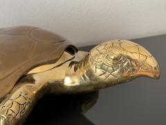 Gabriella Crespi Brass Turtle Sculpture Jewelry Box - 992780