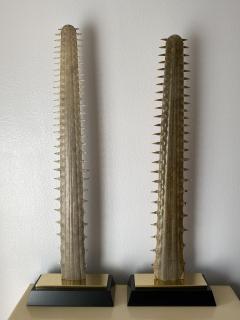 Gabriella Crespi Pair of Massive Sawfish Rostrums Bills - 2522453