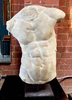 Gaddis Torso Plaster Bust Copy in Scale 1 1 - 544095