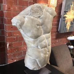 Gaddis Torso Plaster Bust Copy in Scale 1 1 - 544099