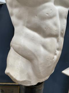Gaddis Torso Plaster Bust Copy in Scale 1 1 - 2031341
