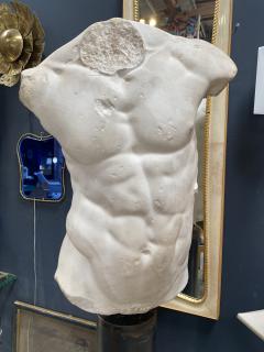 Gaddis Torso Plaster Bust Copy in Scale 1 1 - 2031342