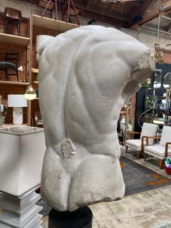 Gaddis Torso Plaster Bust Copy in Scale 1 1 - 2031344
