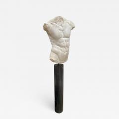 Gaddis Torso Plaster Bust Copy in Scale 1 1 - 2031677