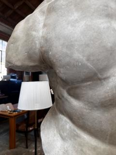 Gaddis Torso Plaster Bust Copy in Scale 1 1 - 3464455