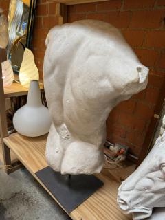 Gaddis Torso Plaster Bust Copy in Scale 1 1 - 4612168