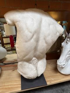 Gaddis Torso Plaster Bust Copy in Scale 1 1 - 4612170