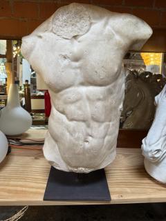 Gaddis Torso Plaster Bust Copy in Scale 1 1 - 4612171
