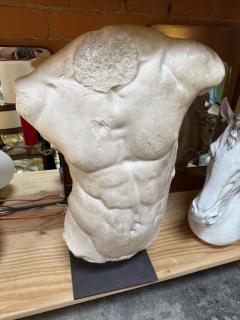 Gaddis Torso Plaster Bust Copy in Scale 1 1 - 4612172