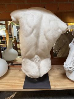 Gaddis Torso Plaster Bust Copy in Scale 1 1 - 4612174