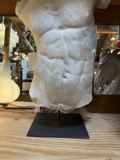 Gaddis Torso Plaster Bust Copy in Scale 1 1 - 4612176
