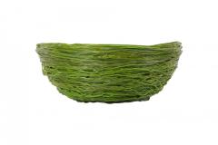 Gaetano Pesce Gaetano Pesce Green Resin Spaghetti Bowl for Fish Design 2009 - 845419