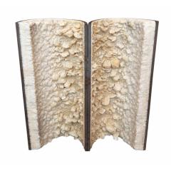 Galvanized Pipe Mineral Geode Industrial Chic Table Art - 4433101
