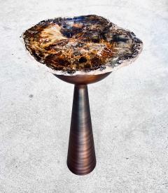 Gamboa Permica Araucaria Petrified Wood Side Table - 4373976